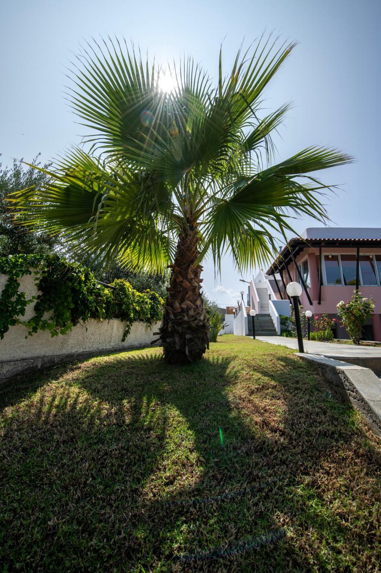 Villa Eleni 100M From The Sea Rapaniana Exterior photo